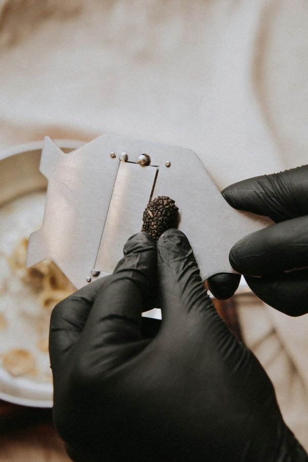 Quels critères pour sélectionner une trancheuse électrique avec épaisseur ajustable pour des coupes précises?